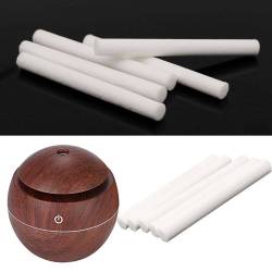 10 recambios filtro difusor