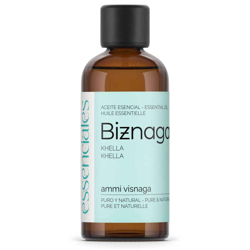 Khella Ammi Visnaga Essential Oil, 100% pure & natural, 100 ml.