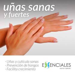 Ricino 1ª presión frío - Aceite vegetal