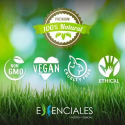 Albaricoque 1ª presión frío | Aceite vegetal