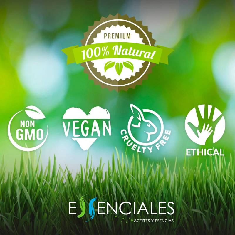 Albaricoque 1ª presión frío | Aceite vegetal