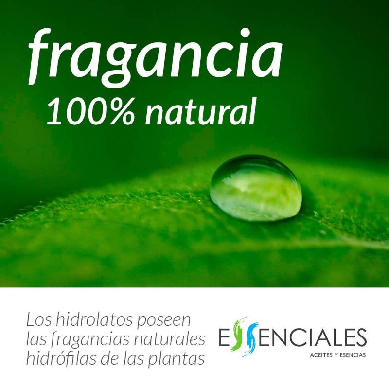 100% natural and pure Orange blossom hydrosol.