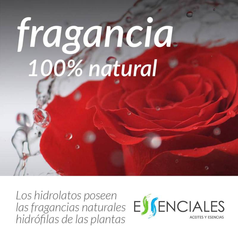 Rosa extra | Agua floral