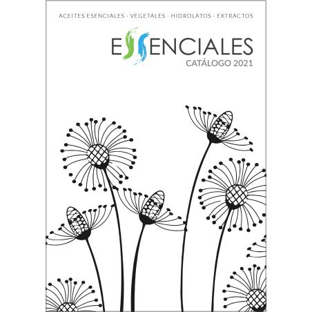Essentials Catalog - Book