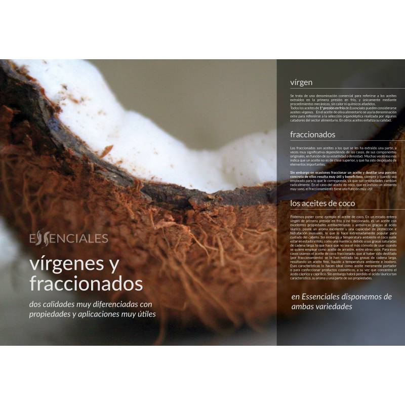 Catálogo Essenciais - Livro