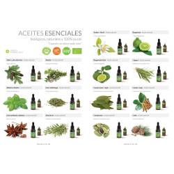 Catalogue imprimé et guide Essentiels - Livre