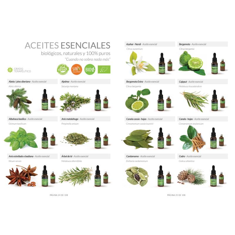 Essentials Catalog - Book