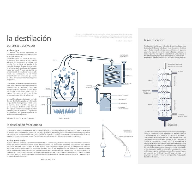 Catálogo Essenciais - Livro