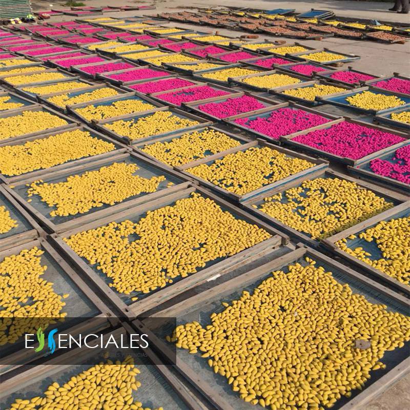 Quemador de incienso - Ríos y montañas