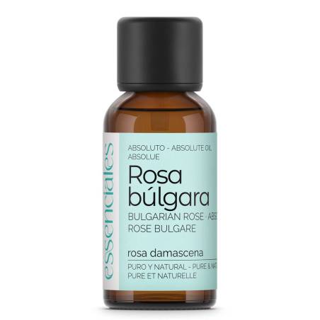 Absoluto de Rosa Búlgara