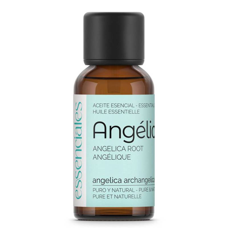 Angelica Root Essential Oil