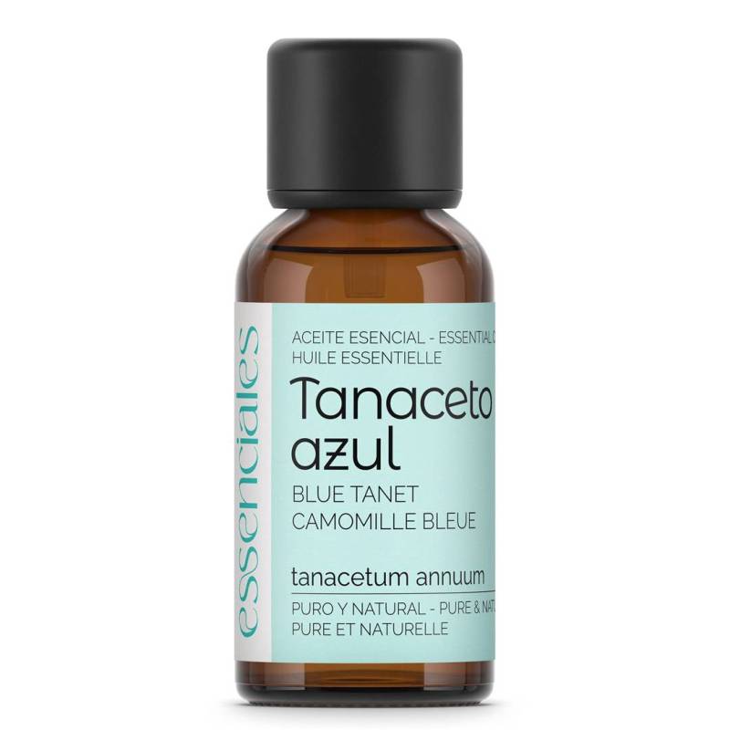 Blue Tansy Essential Oil, 100% pure & natural, 30 ml.