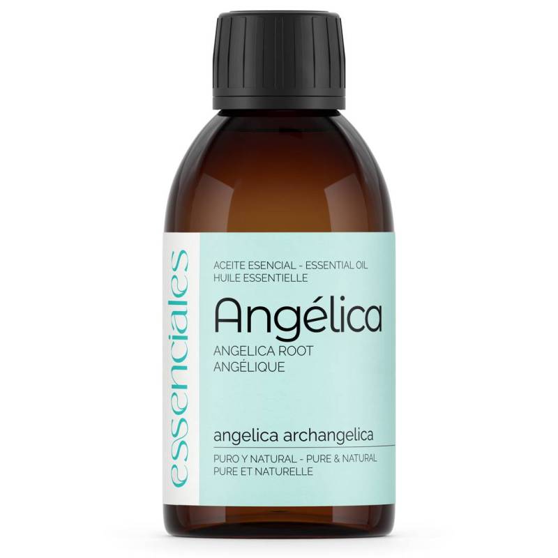 Angelica Root Essential Oil
