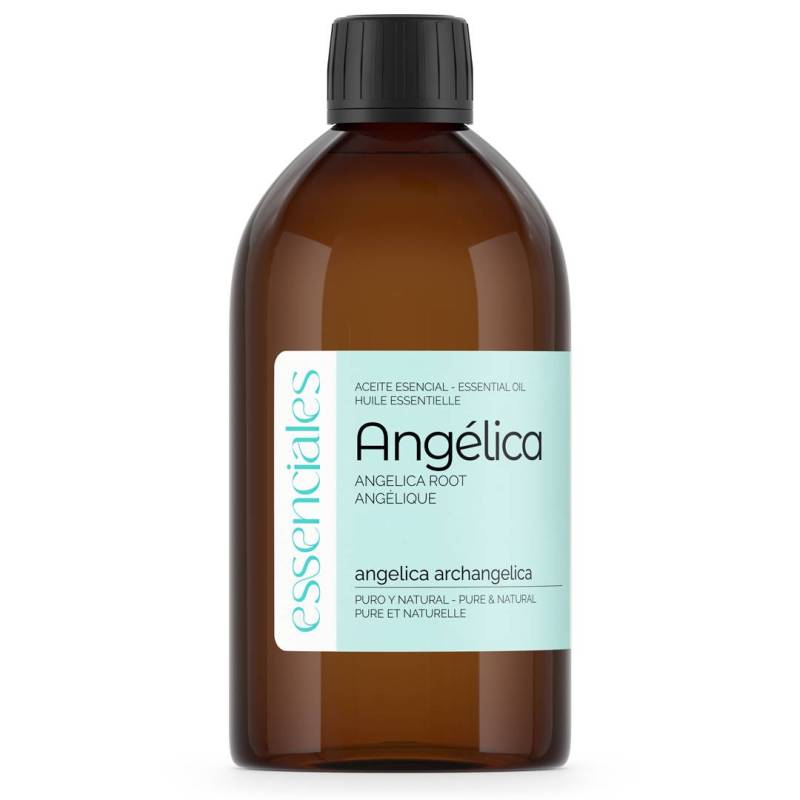 Angelica Root Essential Oil