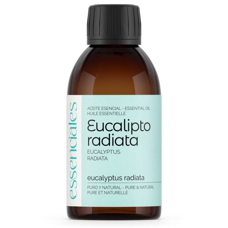 Eucalyptus Radiata Essential Oil, absolute best quality, 100% pure & natural. 200 ml.