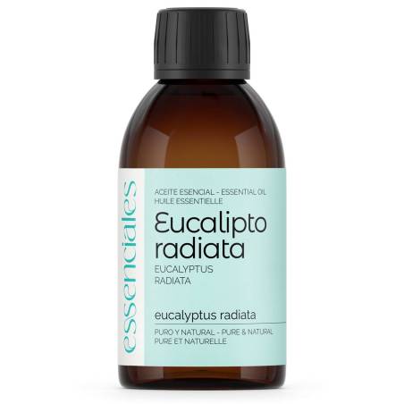 Aceite Esencial de Eucalipto radiata