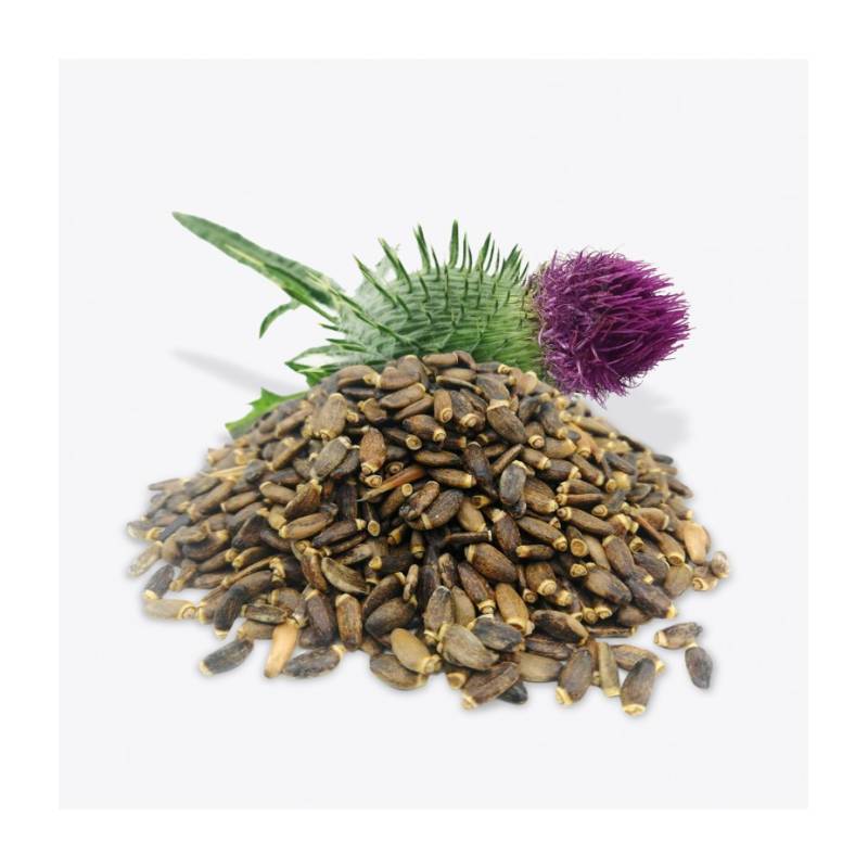 Cardo Mariano, semillas enteras