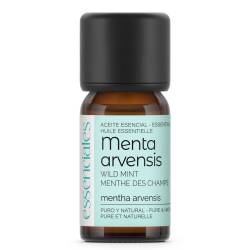 Wild Mint, Field Mint pure & natural Essential Oil, 10 ml.