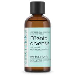 Wild Mint, Field Mint pure & natural Essential Oil, 100 ml.