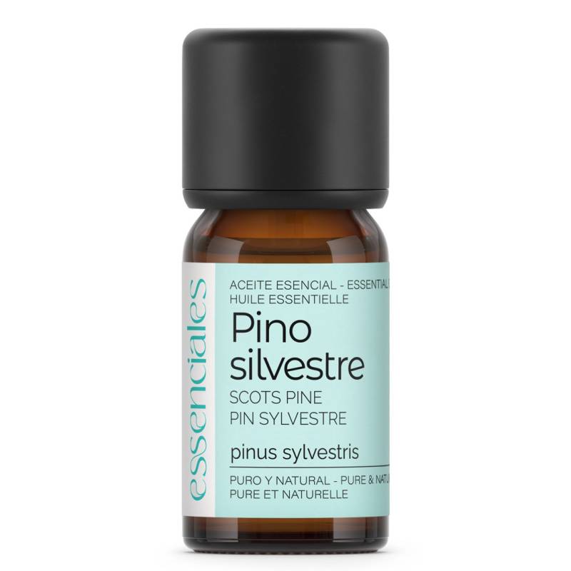Scots Pine Essential oil (wild pine), 100% pure & natural, 10 ml.