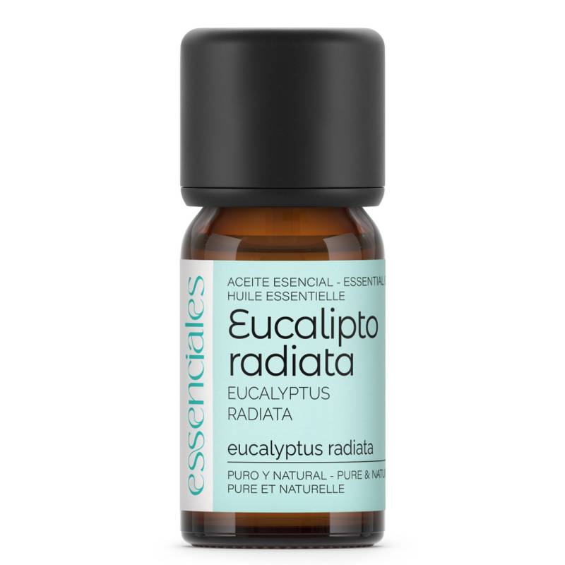 Eucalyptus Radiata Essential Oil, absolute best quality, 100% pure & natural. Includes pipette dropper. 10 ml.