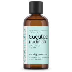 Eucalyptus Radiata Essential Oil, absolute best quality, 100% pure & natural. 100 ml.