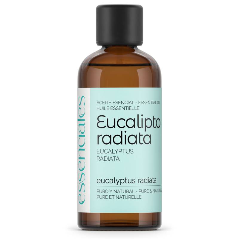 Eucalyptus Radiata Essential Oil, absolute best quality, 100% pure & natural. 100 ml.