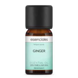 Ginger Essential Oil, 100% pure & natural, 10 ml.