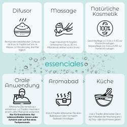Jengibre- Aceite esencial