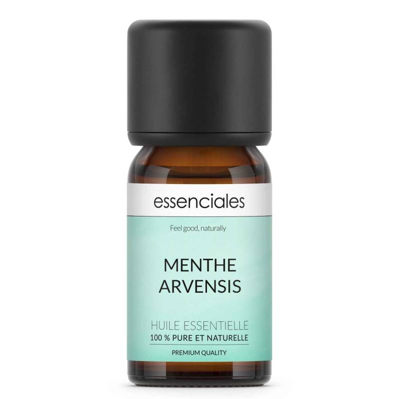 Aceite esencial de Menta Arvensis, de campo o Menta japonesa, 100% puro y natural, 10 ml.