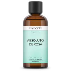 Absoluto de Rosa Búlgara
